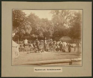 Nachlass von Therese von Bayern (1850-1925) – BSB Thereseana, 62.c. Therese von Bayern (1850-1925), Nachlass: Hagenbecksche Kalmückenkarawane, ca. 1883/84 - BSB Thereseana 62.c