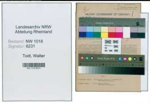 Entnazifizierung Walter Todt , geb. 08.07.1892 (Obstbauer)