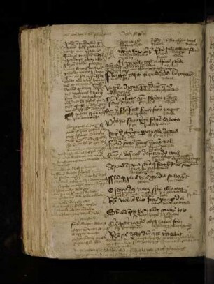 Poeta salutaris. Aurea lux oritur pratum pete collige flores …