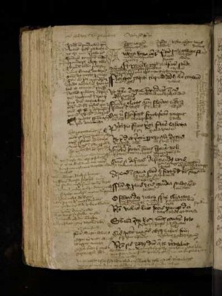 Poeta salutaris. Aurea lux oritur pratum pete collige flores …