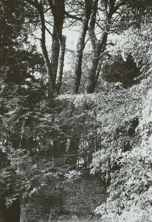 Tharandt, Ascherhübel, Basaltbruch