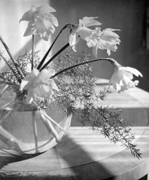 Blumen in Vasen. Osterglocken in gläserner Kugelvase