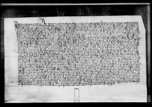 Hans Schlichtner von Gültlingen reversiert den Kaplänen zu Calw für das Erblehen ihres gemeinsamen Hofs zu Gültlingen.