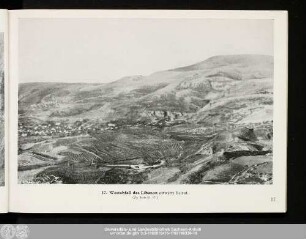 17. Westabfall des Libanon