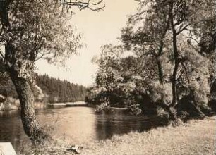 Erzgebirge. Schwarzer Teich an der Straße Deutscheinsiedel - Deutschneudorf