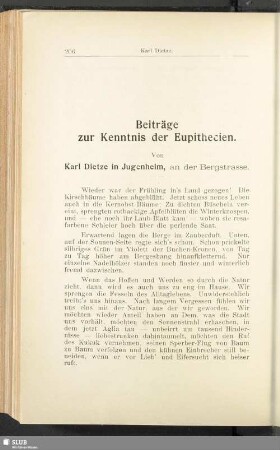 Beiträge zur Kenntnis der Eupithecien