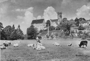 Aufsteigende Sommerwolken (Burg Ganandstein von Südosten). Photographie, 11,7 x 16,7 cm. Frohburg, Heimatmuseum im Schloss Frohburg Nr. 66f