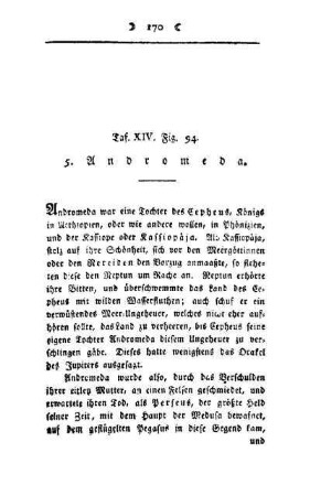 Andromeda : Taf. XIV, Fig. 94