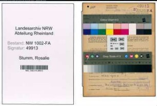 Entnazifizierung Rosalie Stumm, geb. 13.11.1908 (Kauffrau)