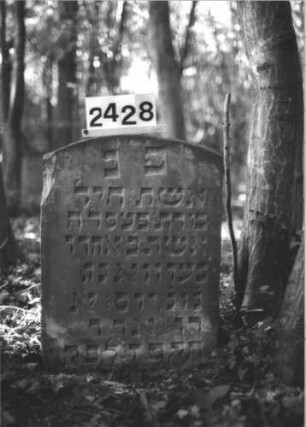 Grabstein 2428