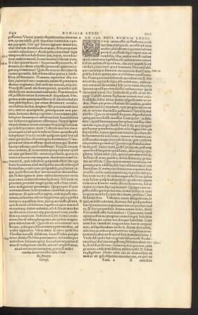 Ex Cap. XXVI. Homilia LXXXI.