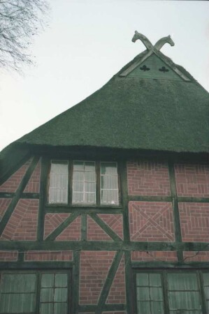 Wiesenstraße 38; Fachwerkhaus mit Reetdach: Giebelseite Wohntrakt: Teilansicht: Pferdeköpfe als Giebelzier