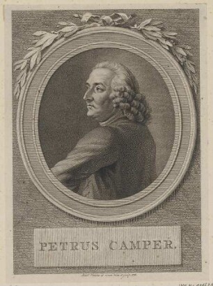 Bildnis des Petrus Camper