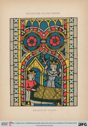 Mülhauser Glasmalereien (Tafel 100 - 115)