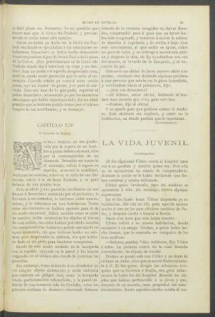 La vida juvenil