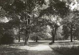 Dresden-Altstadt. Großer Garten. Partie in der Nähe des Carolasees