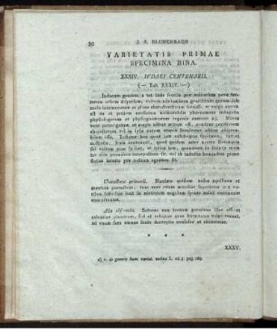 Varietatis Primae Specimina Bina. (Tab. XXXIV. [und] XXXV.)