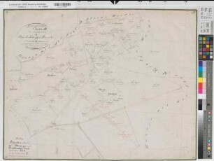 Dingden (Hamminkeln), Teilung der Dingdener Mark, Bl.9 Brouillonkarte Flur L Königs Busch