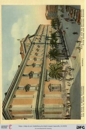 Napoli – Via Foria e Museo Nazionale. – Rue Foria et Musée National. – Foria Street and the National Museum. – Foria Strass und National Museum.