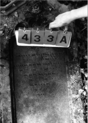 Grabstein 433 (Index: 99792007) Material: Sandstein Zustand: gut, Stele liegend Maße HxBxT: 113x64x19 cm Beschreibung: Stele, eingezogener giebelartiger Abschluß, rechteckig erhöht mit Verdachung, Schriftfeld eingetieft mit Rundbogenabschluß Symbolik: Rundbogenfries, Blüte: Grabstein 433A
