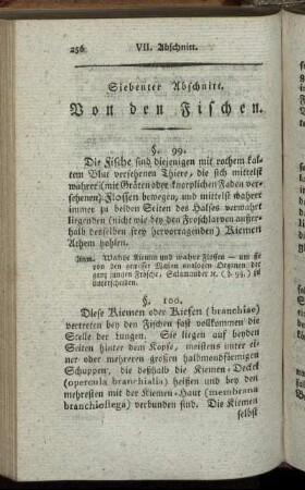 Siebenter Abschnitt. Von den Fischen