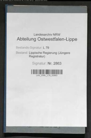 Die persönlichen Verhältnisse des Fräuleins v. Kitzing (Stiftsanwärterin Clementine von Kitzing)