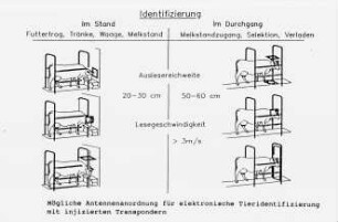 Mögliche Antennenanordnung für elektronische Tieridentifizierung mit injizierten Transpondern