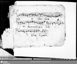 3 Anonymus: Deo dicamus gratias