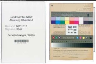Entnazifizierung Walter Schellschlaeger , geb. 11.04.1910 (Arzt)