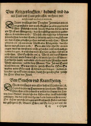 Von Kriegesleufften/ dadurch und damit Land und Leute gestraffet/ verheret/ verwüstet und verderbet werden.
