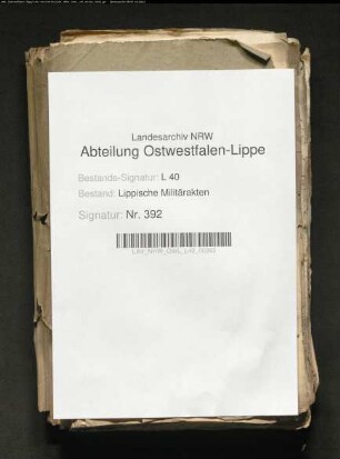 Aufstellung und Einsatz der lippischen Kreiskompanie im Türkenkrieg in Ungarn