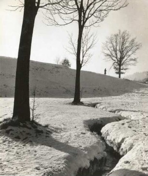 Taubenheim/Spree. Winterlandschaft