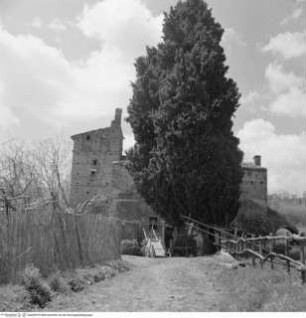 San Liberato
