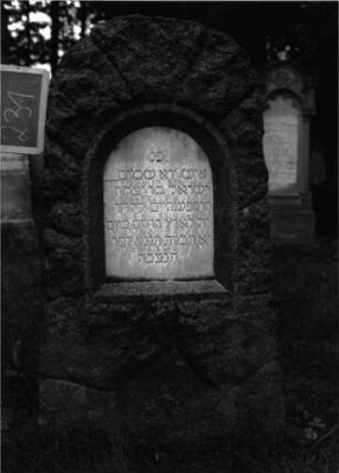 Grabstein 231