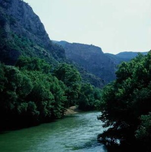 Thessalien. Das Temme-Tal, Flussklamm des Pinios zwischen Olymp und Ossa; Engstelle Lykostomion (Wolfsrachen)