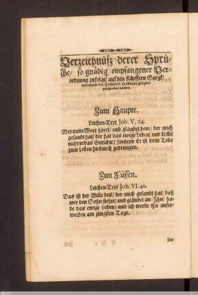 Beschreibung des Sarges