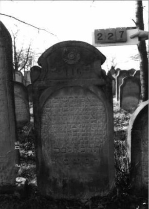 Grabstein 227 (Index: 100116022) Material: Sandstein Zustand: verwittert mit Textverlust Maße HxBxT: 128x63x15 cm Beschreibung: Stele mit konkav eingezogenem Segmentbogenabschluß, eingetieftes Schriftfeld mit Rundbogenabschluß Symbolik: Blüte: Grabstein 227