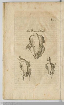 Das dreyzehende Capitel. Wie du Krammerßvögel/ Ziemer/ Wachteln vnd andere kleine Vögel auff der Gabel zerlegen solst.