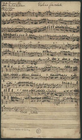 Violino Concertato