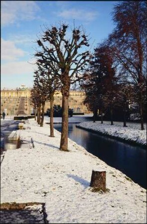 Potsdam, Park Sanssouci, Bullenwiese, Kastanien bei den Stichgräben.