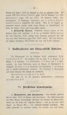 X. Buchdruckereien und lithographische Anstalten.