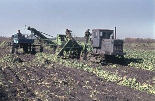 Köpfschwaderrodelader mit Kettentraktor KDP 35
