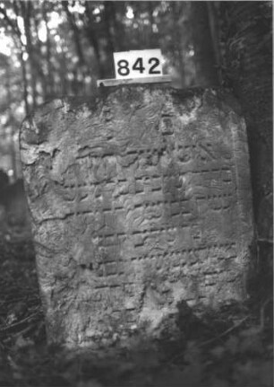 Grabstein 842 (Index: 99899257) Material: Sandstein Zustand: stark verwittert Maße HxBxT: 82x72x9 cm Beschreibung: Stele mit geschweiftem Schulterbogenabschluss, im Bogenfeld Levitenkanne Symbolik: Levitenkanne: Grabstein 842