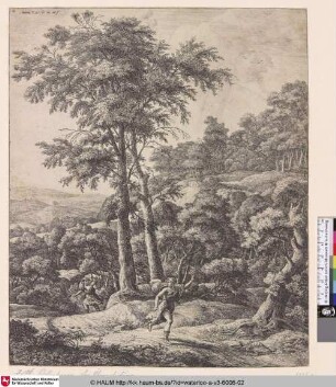 [Apollon und Daphne; Apollo and Daphne]