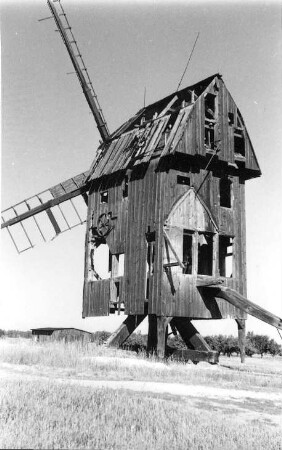 Schönhausen (Elbe). Mühle Levin, Bockmühle, ruinös (1979 Abbruch)