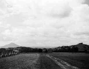 Blick über Felder zum Iricht (Spravedlnost) : Kreibitz