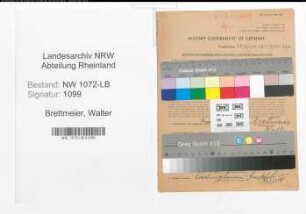 Entnazifizierung Walter Brettmeier , geb. 20.02.1902 (Kaufmann)