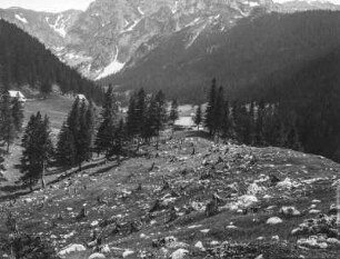 Bergtal : Blick in ein Bergtal mit Findlingen auf einer gerodeten Fläche. Im Mittelgrund Hütten und Wald