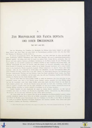 Zur Morphologie der Fascia dentata und ihrer Umgebungen.