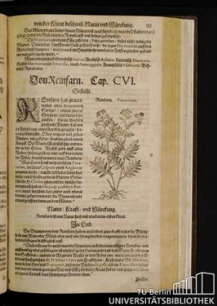 Cap. CVI. Von Reinfarn.